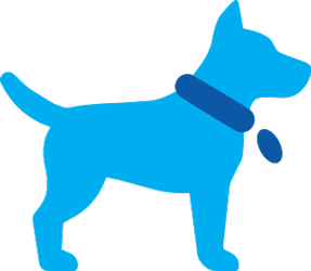 pet icon