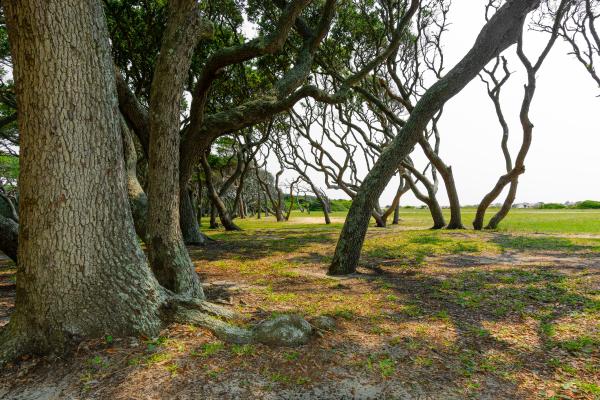 Fort Fisher State Historic Site