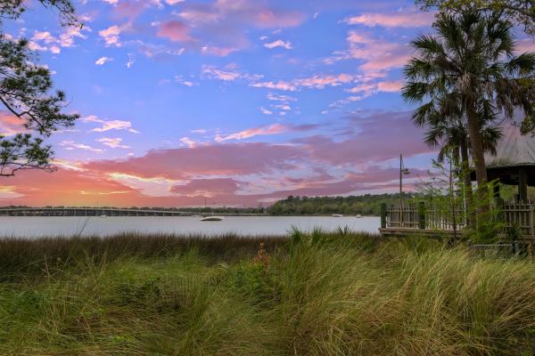 Jacksonville Zoo and Gardens