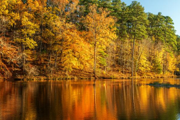 Umstead State Park in Autumn