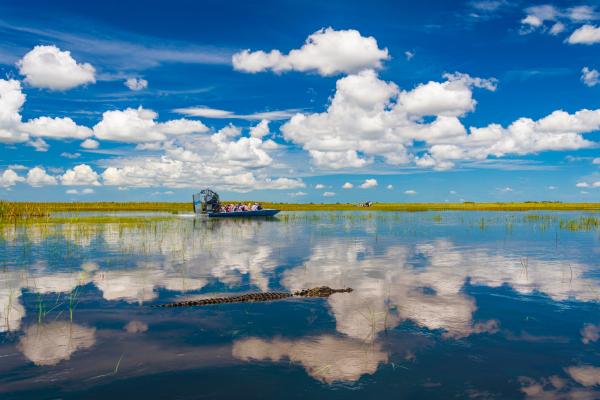 The Everglades