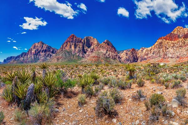 Las Vegas mountains 