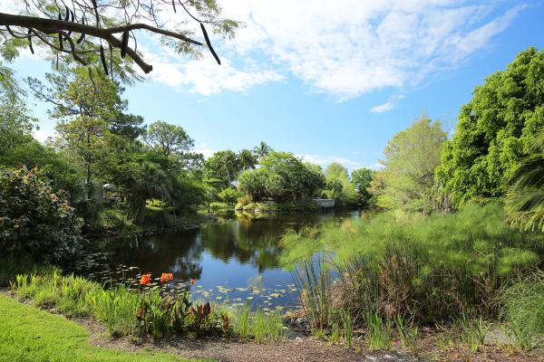 Mounts Botanical Garden