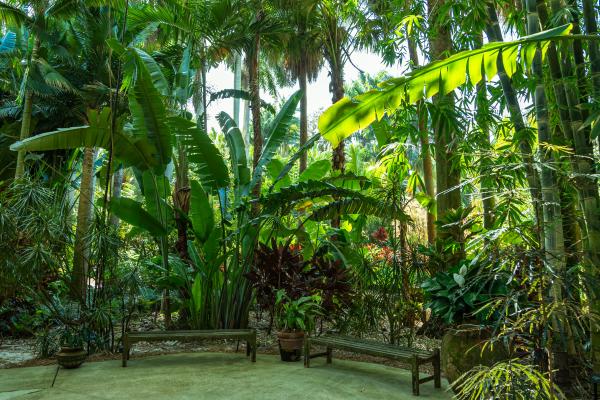 Sunken Gardens