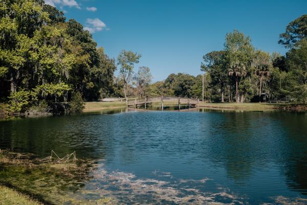 Lake in Sea Pines Forest Preserve in HIlton Head Island