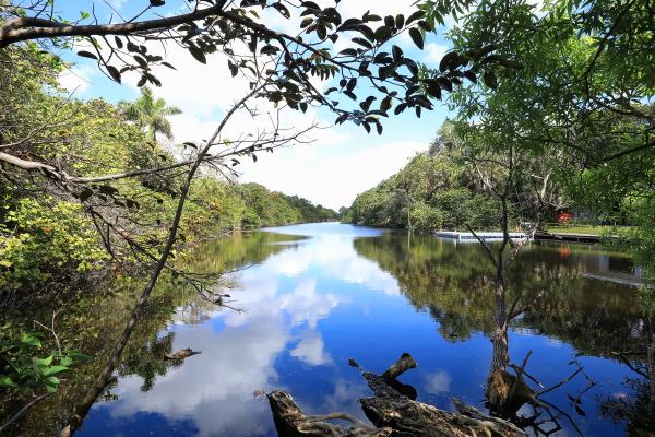 Hugh Taylor Birch State Park