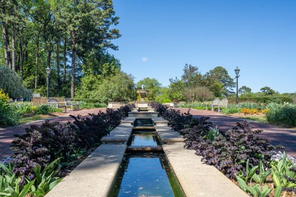 Norfolk Botanical Garden