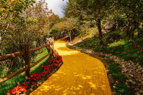 Land of Oz